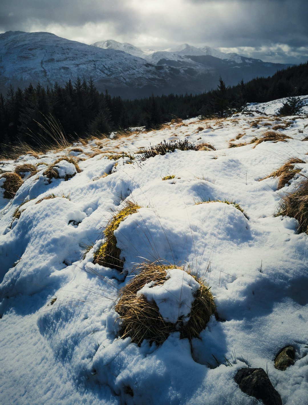 Besneeuwd terrein, geen groep in beeld (voorlopig bronbeeld; persoon of locatie niet bevestigd)