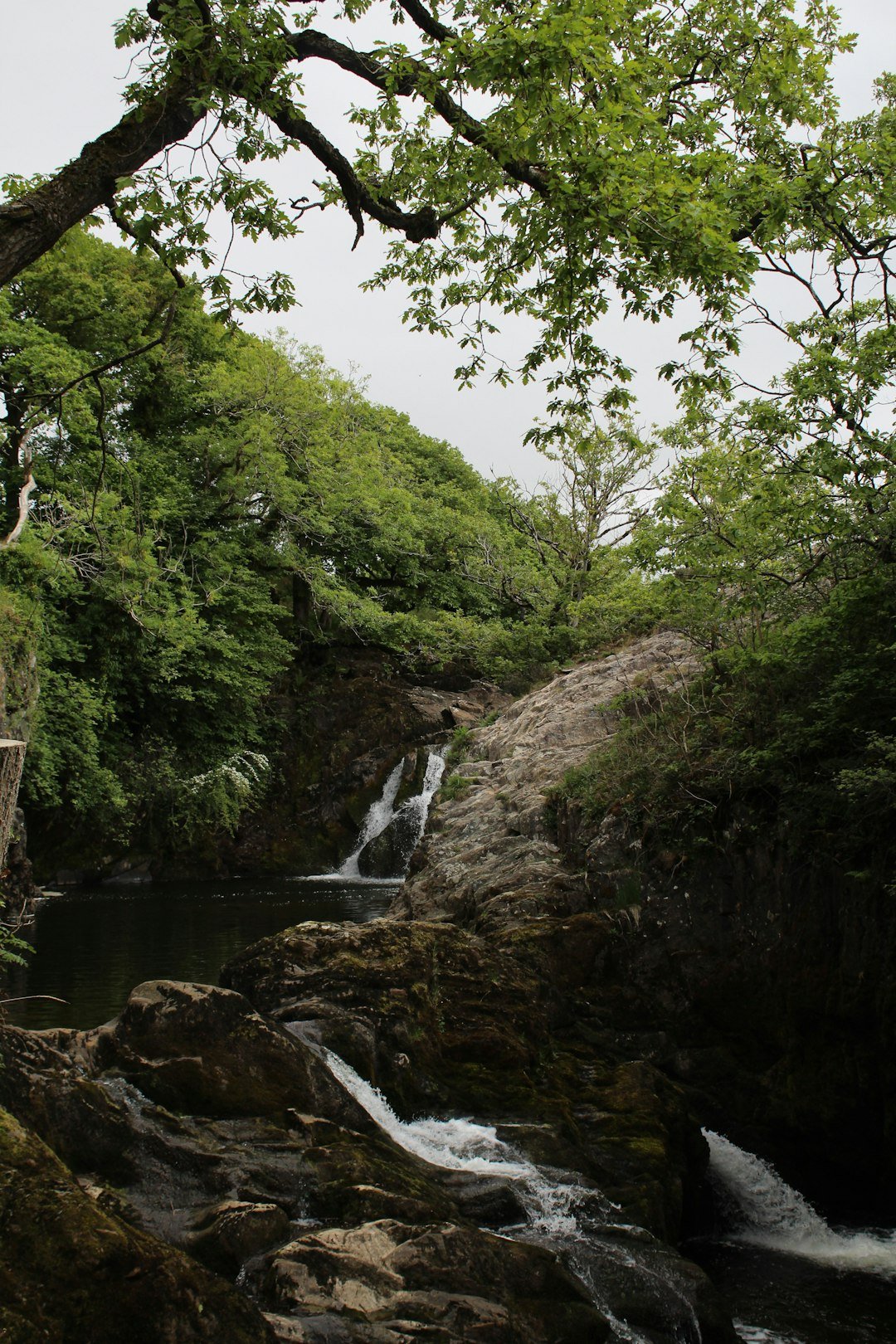 Groene kloof met water